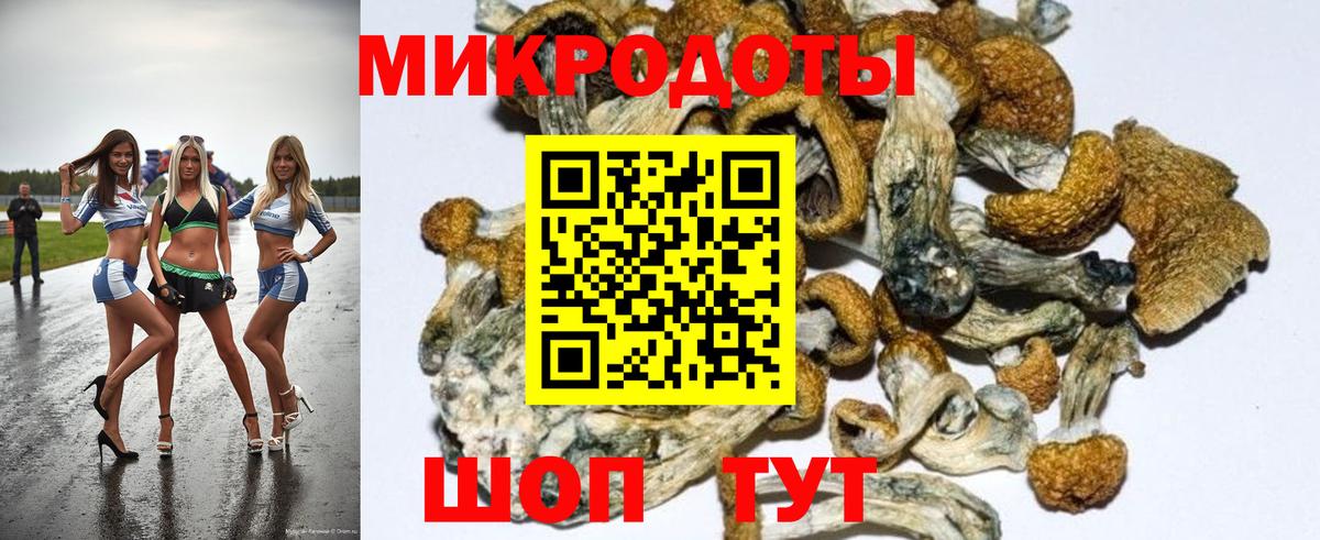 Дзержинский  Псилоцибиновые грибы GOLDEN TEACHER  закладка  Псилоцибиновые грибы Psilocybe  Вход с VPN 