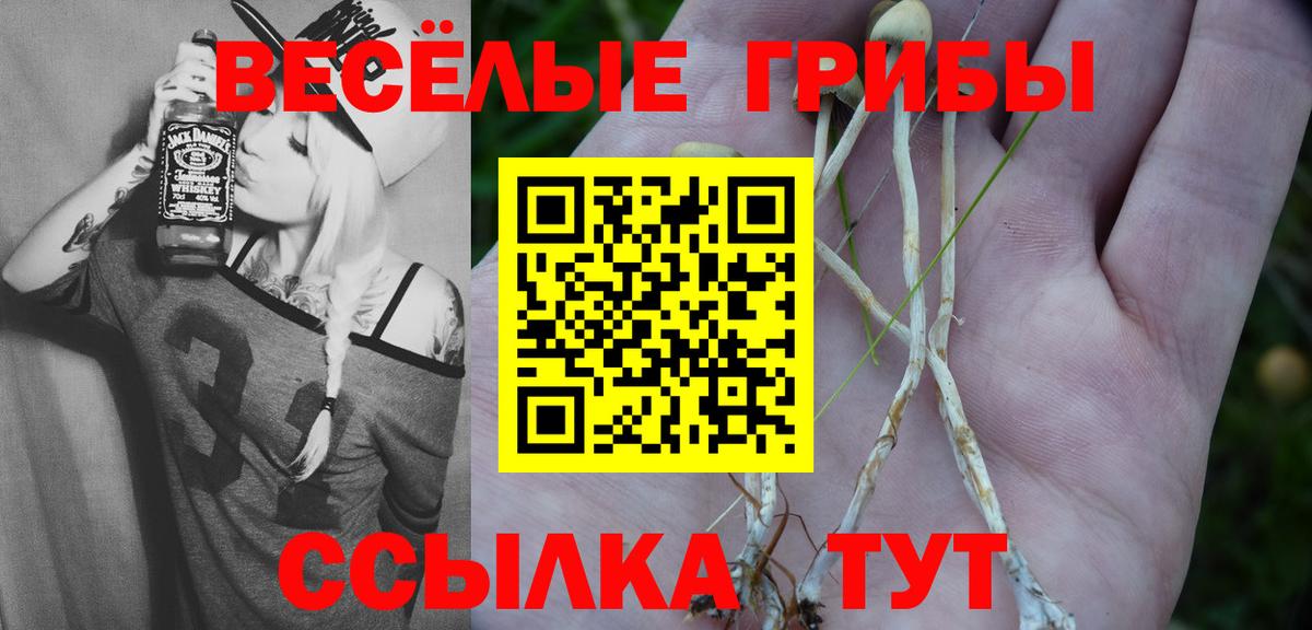 Псилоцибиновые грибы Psilocybine cubensis Дзержинский